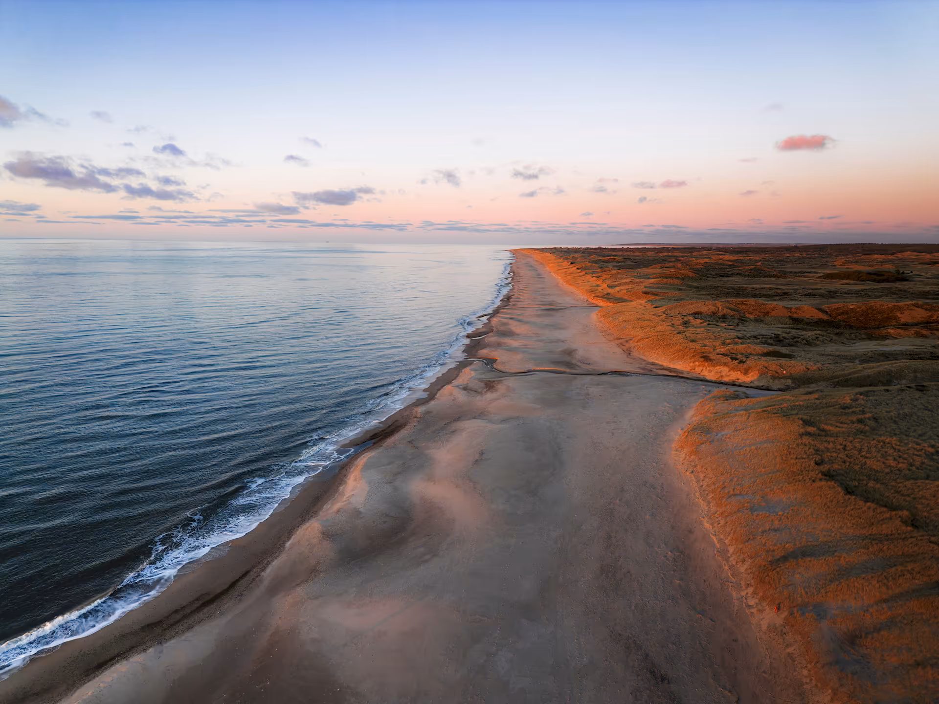 Getting Started with ShokaX